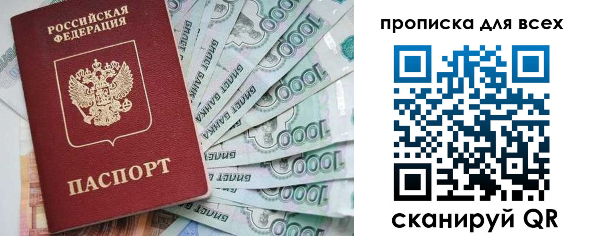 прописка гарантия в Коврове